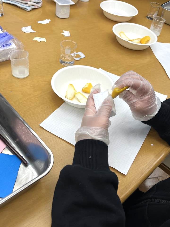 こどもかがく教室2026